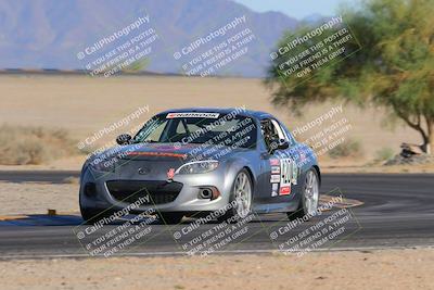 media/Oct-15-2023-Lucky Dog Racing Chuckwalla (Sun) [[f659570f60]]/4th Stint Turn 4 Tree of Life/